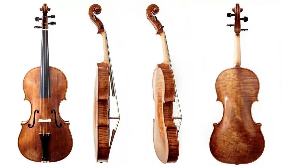 new viola from 2013, model inspired by a viola from 1721 made of lorenzo carcassi. 375 vibrant string length, back length 410