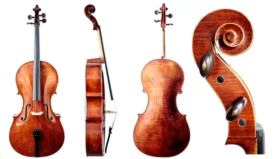 new cello from 2013 made of a model by Stradivari, forma buona. vibrant string length 690, back length 750
